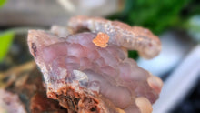 Load image into Gallery viewer, 2.5" Rare Botryoidal Purple Chalcedony Crystal Cluster
