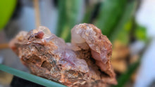 Load image into Gallery viewer, 2.5" Rare Botryoidal Purple Chalcedony Crystal Cluster
