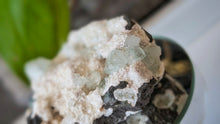 Load image into Gallery viewer, 2.5" Green Apophyllite Heulandite Zeolite Cluster
