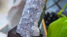 Load image into Gallery viewer, 4" Amethyst Crystal Cluster on Wood Stand
