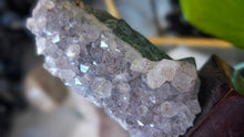 Load image into Gallery viewer, 4" Amethyst Crystal Cluster on Wood Stand
