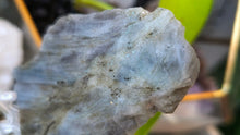 Load image into Gallery viewer, 4" Labradorite Polished Crystal on Stand
