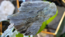 Load image into Gallery viewer, 4" Labradorite Polished Crystal on Stand
