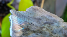 Load image into Gallery viewer, 4" Labradorite Polished Crystal on Stand
