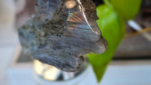 Load image into Gallery viewer, 4" Labradorite Polished Crystal on Stand
