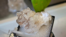 Load image into Gallery viewer, 2" Aragonite Crystal Cluster in Display Case
