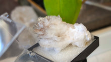 Load image into Gallery viewer, 2" Aragonite Crystal Cluster in Display Case
