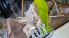 Load image into Gallery viewer, 3" Phantom Clear Quartz Crystal Cluster (stand not Included)
