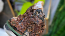 Load image into Gallery viewer, 3" Andradite Garnet &amp; Epidote Cluster (Nelson,B.C. Mine)
