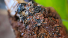 Load image into Gallery viewer, 3" Andradite Garnet &amp; Epidote Cluster (Nelson,B.C. Mine)
