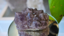 Load image into Gallery viewer, 2" Thunder Bay Lavender Amethyst Crystal Cluster
