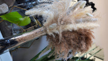 Load image into Gallery viewer, 26" Pampas Grass Arrangement in Bottle
