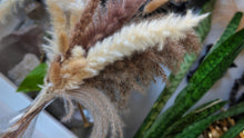 Load image into Gallery viewer, 18" Pampas Grass Arrangement in Bottle
