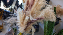 Load image into Gallery viewer, 26" Pampas Grass Arrangement in Bottle
