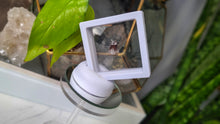 Load image into Gallery viewer, Super 7 Crystal Mini Point in Display Case

