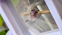 Load image into Gallery viewer, Super 7 Crystal Mini Point in Display Case
