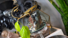 Load image into Gallery viewer, 3" Rare Andradite Garnet &amp; Epidote Cluster (Nelson,B.C. Mine)
