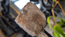 Load image into Gallery viewer, 5" Smokey Quartz Crystal on Stand
