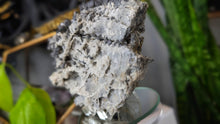 Load image into Gallery viewer, 5" Bulgarian Quartz Galena Crystal Cluster
