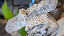 Load image into Gallery viewer, 7" Snow Quartz Crystal Cluster
