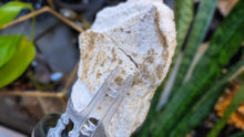 Load image into Gallery viewer, 5" Rare White &amp; Pink Halite Crystal Cluster
