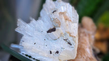 Load image into Gallery viewer, 3" Scolecite &amp; Stillbite Crystal Cluster
