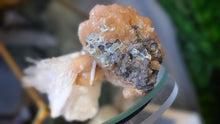 Load image into Gallery viewer, 3" Scolecite &amp; Stillbite Crystal Cluster
