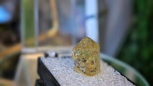 Load image into Gallery viewer, 1" Rainbow Durango Apatite in Case
