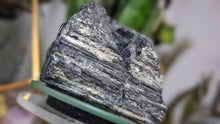 Load image into Gallery viewer, 3" Black Tourmaline &amp; Mica Cluster
