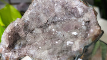 Load image into Gallery viewer, 6" Flower Amethyst Quartz Crystal Cluster
