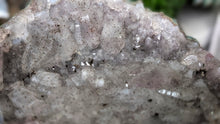 Load image into Gallery viewer, 6" Flower Amethyst Quartz Crystal Cluster
