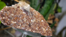 Load image into Gallery viewer, 6" Honey Calcite Quartz Crystal Cluster
