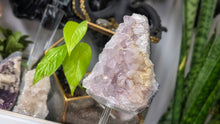 Load image into Gallery viewer, 5" Milky Amethyst Crystal Cluster
