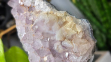 Load image into Gallery viewer, 5" Milky Amethyst Crystal Cluster
