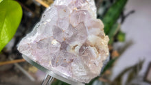 Load image into Gallery viewer, 5" Milky Amethyst Crystal Cluster
