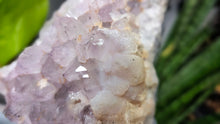 Load image into Gallery viewer, 5" Milky Amethyst Crystal Cluster
