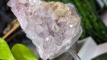 Load image into Gallery viewer, 5" Milky Amethyst Crystal Cluster
