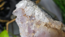 Load image into Gallery viewer, 5" Milky Amethyst Crystal Cluster
