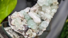 Load image into Gallery viewer, 4" Green Apophyllite Heulandite Zeolite Cluster
