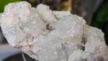 Load image into Gallery viewer, 5" Apophyllite Zeolite Quartz Crystal Cluster
