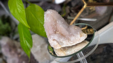 Load image into Gallery viewer, 3" Spirit Cactus Quartz Crystal Cluster
