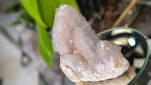 Load image into Gallery viewer, 3" Spirit Cactus Quartz Crystal Cluster

