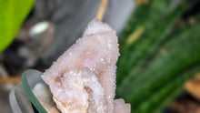 Load image into Gallery viewer, 3" Spirit Cactus Quartz Crystal Cluster
