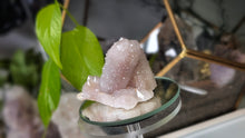 Load image into Gallery viewer, 3" Spirit Cactus Quartz Crystal Cluster
