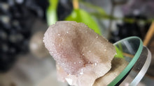 Load image into Gallery viewer, 3" Spirit Cactus Quartz Crystal Cluster
