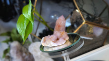 Load image into Gallery viewer, 2.5" Ametrine Spirit Cactus Quartz Crystal Cluster
