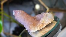Load image into Gallery viewer, 2.5" Ametrine Spirit Cactus Quartz Crystal Cluster
