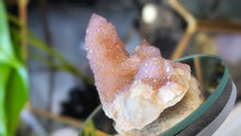 Load image into Gallery viewer, 2.5" Ametrine Spirit Cactus Quartz Crystal Cluster

