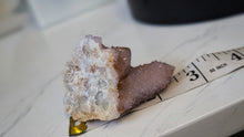 Load image into Gallery viewer, 2.5" Ametrine Spirit Cactus Quartz Crystal Cluster
