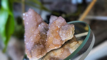 Load image into Gallery viewer, 2.5" Ametrine Spirit Cactus Quartz Crystal Cluster
